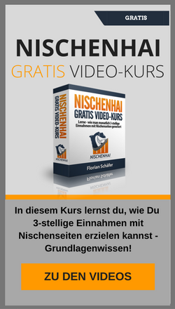 Gratis Video Kurs - Nischenseiten